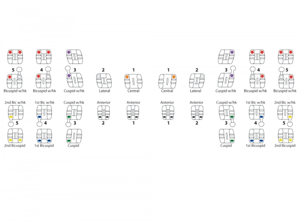 miniPrevail™ TWIN (miniPerform™), Set 5-5, Roth .022"